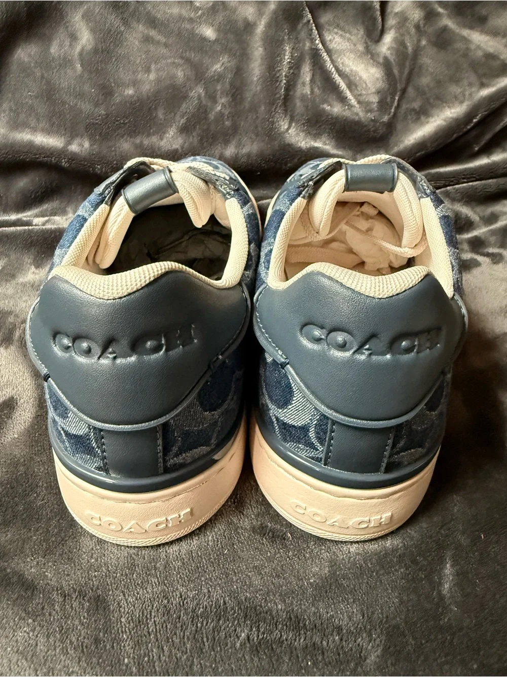 Coach low top